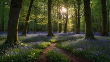 Enchanting Forest Path Through Bluebells with Sunlit Tree Canopy Display photo