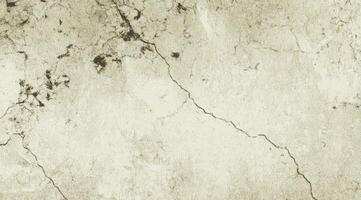 Aged Stone Texture with Delicate Vein Patterns photo