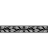 Elegant Black and White Leafy Border for Backgrounds and Prints vector
