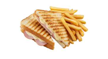 A close up of a grilled sandwich with grill marks and a side of golden french fries on a neutral surface png