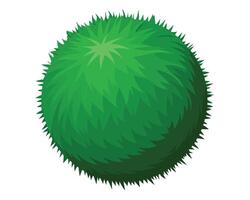 Stylized Green Bush or Shrub in a Spherical Shape on White Background vector