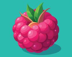 Stylized Raspberry Illustration with Green Leaves on a Teal Background vector