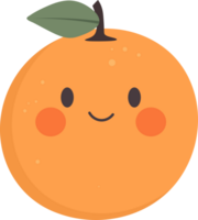 Smiling orange fruit with rosy cheeks and a single green leaf illustration. png