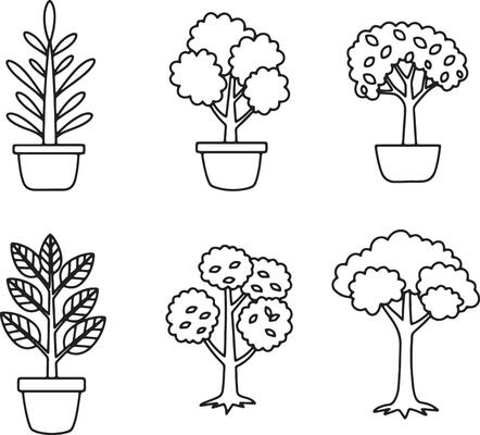 Simple and Elegant Hand-Drawn Botanical Illustrations with Cactus, Trees, Flowers, and Ferns Elements