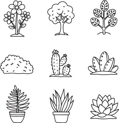Artistic Botanical Collection of Hand-Drawn Flowers, Ferns, Trees, and Cactus Plants in Simple Line Art