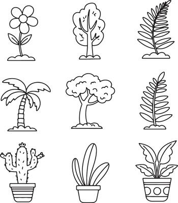 Charming Botanical Line Drawings of Different Flowers, Cactus, Trees, and Ferns for Minimalist Themes