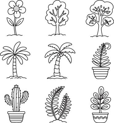 Minimal Botanical Illustrations Featuring Cactus, Ferns, Trees, and Blooming Garden Flowers
