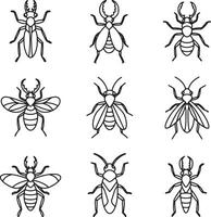 Nine Detailed Line Drawings of Insects Beetles, Bugs, and Flies Entomology Illustrations for Science, Education, and Design vector