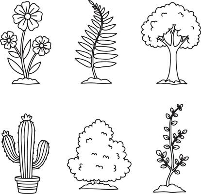 Charming Line Art Illustrations of Diverse Plants Flowers, Fern, Cactus, and Trees in a Simple, Peaceful Style