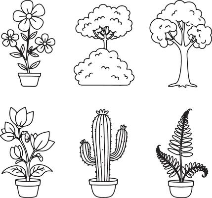 Peaceful Botanical Line Drawings Featuring Leaves, Ferns, Cactus, Trees, and Garden Flowers in Monochrome