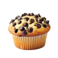 Chocolate chip muffin isolated on transparent background png