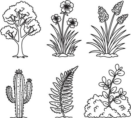 Botanical Line Art Sketches of Cactus, Ferns, Trees, and Flowers with Elegant Minimal and Calm Detailing