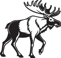 Majestic Moose Walking in a Wild Setting A Striking Black and White Illustration of a Powerful North American Animal vector