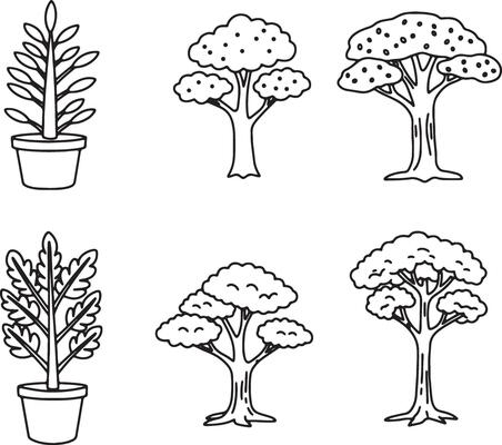 Delicate Line Art Illustrations of Forest Trees, Ferns, Wild Cactus, and Blooming Flowers in Clean Style