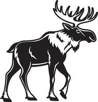 Majestic Moose Walking in the Wild A Striking Black and White Illustration of a North American Moose in its Natural Habitat vector