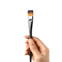 Female hand hold a brush tool isolated on transparent background png