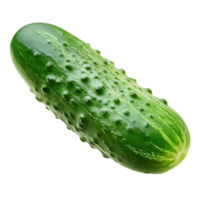 Green Textured Cucumber isolated on transparent background png