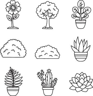 Minimalist Botanical Illustration Set Showing Garden Flowers, Ferns, Trees, and Cactus in Calm Line Style