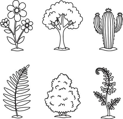 Decorative Botanical Line Art Featuring Various Wildflowers, Trees, Ferns, and Cactus in Clean Sketch