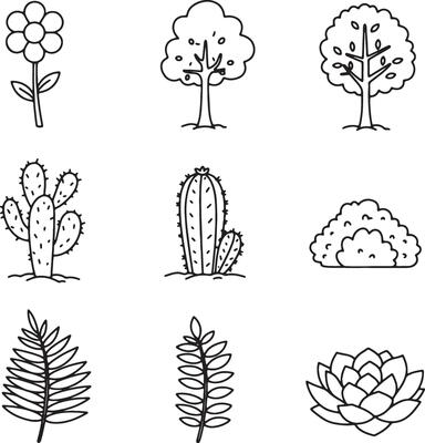 Artistic Hand-Drawn Plant Collection with Flowers, Ferns, Cactus, and Trees in Peaceful Line Art Style