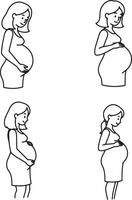 Serene Pregnant Women in Simple Line Drawings Four Stages of Pregnancy Progression, White Background - Professional digital artwork with vibrant colors and detailed composition vector