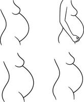 Simple Line Drawings of Pregnant Womens Bodies Showing Stages of Pregnancy, a Serene and Minimalist Illustration vector