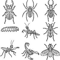 Elegant Line Art Illustrations of Diverse Insects Beetles, Spiders, Praying Mantises, Scorpion, and Fly, Creating a Dark, Mysterious Mood vector