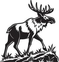Majestic Moose in Wild Habitat A Striking Black and White Illustration of a Powerful Bull Moose Strolling Through Grassy Terrain vector
