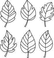 Six Simple Line Drawings of Diverse Leaves A Serene, Botanical Illustration for Nature Lovers - Professional digital artwork with vibrant colors and detailed composition vector