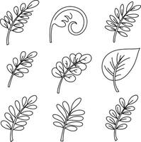 Nine Elegant Hand-Drawn Botanical Leaf Illustrations Simple Line Art of Sprigs, Fern, and Leaves in a Serene White Background vector