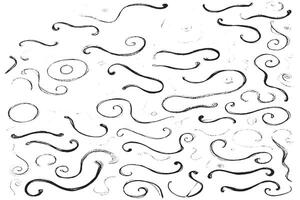 A collection of hand-drawn swirl and flourish elements. Perfect for vintage designs, logos, borders, and decoration. Ideal for illustrators, designers, and creatives seeking unique curl accents. vector