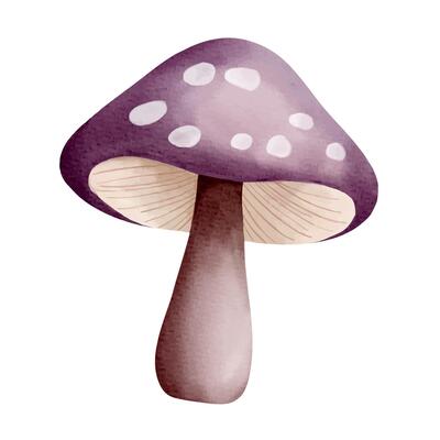 Purple fantasy mushroom in watercolor style. Pastel soft tones. Magical and whimsical illustration element