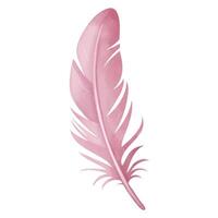 Watercolor feather with fantasy vibes in soft pink color for ethereal and dreamy design vector
