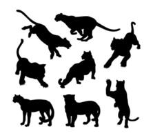 tiger, panther, leopard vecto... vector