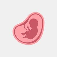 fetus in womb icon illustration vector