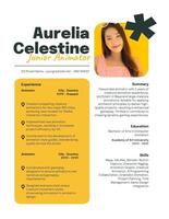 Animator Resume template