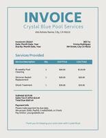 Professional Pool Cleaner Invoice template