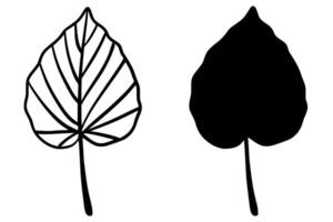 Minimalist black leaf illustration with both silhouette and outline versions. Simple linear and filled botanical design, perfect for nature themes, tattoos, vector