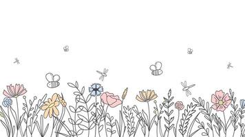 Background hand drawn botanical wild flowers and herbs vector