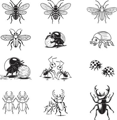 Collection of Detailed Line Art Insect Illustrations