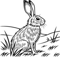 Hare sitting in a field vector