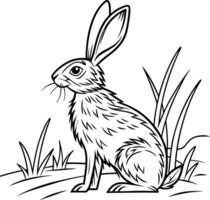 Line Art of a Sitting Hare in a Field vector