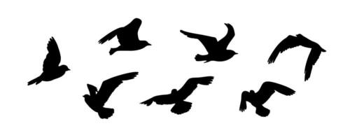 Outlines of flying birds. Black and white silhouette of birds in the wild. Flock of birds, Design element vector
