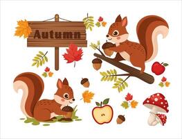 Adorable Autumn Squirrels and Forest Delights Collection vector