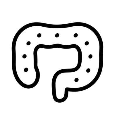 Handdrawn Simple Colon Gut Intestine Organ Line Art Illustration