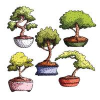 bonzai tree set sketch hand drawn vector