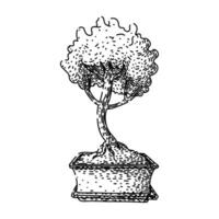 fertilizer bonzai tree sketch hand drawn black vector