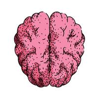synapse brain sketch hand drawn item vector