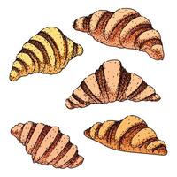 croissant set sketch hand drawn element vector