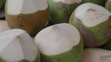 Fresh coconuts ready for hydration and enjoyment video